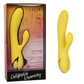 Photo shows the California Dreaming San Diego Seduction Vibrator (yellow) from CalExotics next to its box.