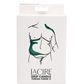 Photo of the front of the box for the LaCire Torso Candle from Sportsheets (form 2/green).