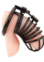 Load image into Gallery viewer, Deluxe Chastity Cage