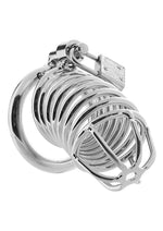Load image into Gallery viewer, Deluxe Chastity Cage
