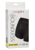 Load image into Gallery viewer, Boundless Boxer Brief Harness - Black - Large/XLarge