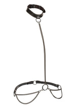 Load image into Gallery viewer, Euphoria Collection Chain Halter/Collar and Leash - Black - Plus Size