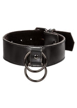 Load image into Gallery viewer, Euphoria Collection Collar with Chain Leash