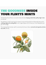 Load image into Gallery viewer, Flintts Mints Mouth Watering Oral Delights - Luxury