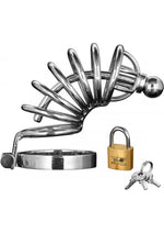 Load image into Gallery viewer, Master Series Asylum 6 Ring Locking Chastity Cage - Silver