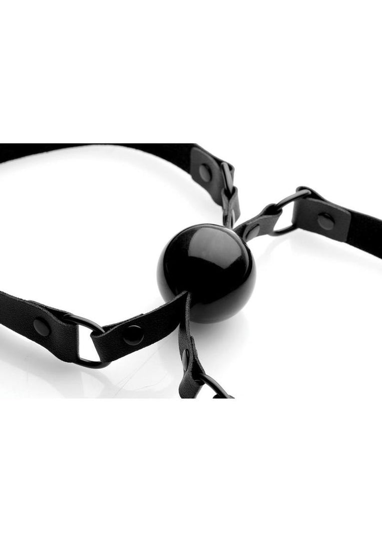 Master Series Doppelgänger Silicone Double Mouth Gag