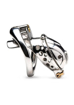 Load image into Gallery viewer, Master Series Entrapment Deluxe Locking Chastity Cage - Silver