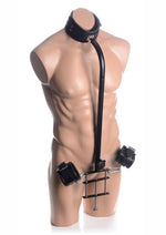 Load image into Gallery viewer, Master Series Penis Pillory Bondage Bar