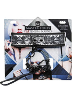 Load image into Gallery viewer, Master Series - Platinum Bound Chained Collar and Leash - Silver