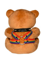 Load image into Gallery viewer, Master Series Pride Bear