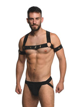 Load image into Gallery viewer, Ms Rave Chest Harness Lxl Blk/Gld