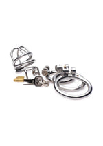 Load image into Gallery viewer, Master Series The Pen Deluxe Locking Chastity Cage