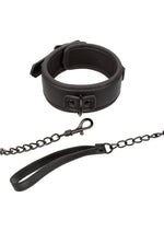 Load image into Gallery viewer, Nocturnal Collection Collar and Leash