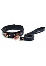 Load image into Gallery viewer, Punishment Yes Sir Collar/Leash - Rose Gold
