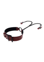 Load image into Gallery viewer, Saffron Collar with Nipple Clamp