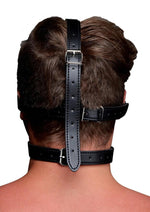 Load image into Gallery viewer, Strict Eye Mask Harness with Ball Gag