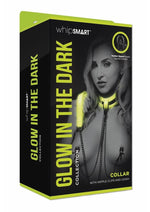 Load image into Gallery viewer, WhipSmart Glow In The Dark Collar with Nipple Clips and Leash - Glow In The Dark/Green