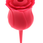 Front view of the Bloomgasm Rose Buzz Clit Stimulator from XR Brands.