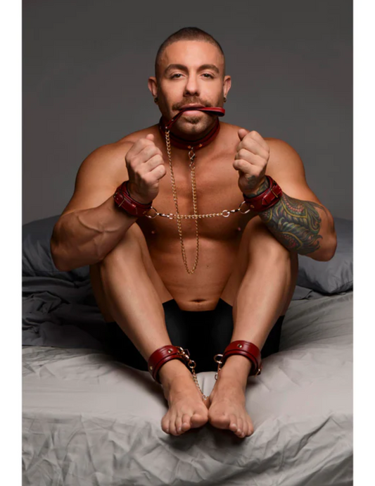 Ad for the Burgundy 6pc Bondage Set from Master Series and XR Brands.