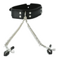 Over-head photo of the collar and chained nipple clamps show their size.
