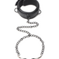 Image of collar and leash with nipple clamps laying on white background.