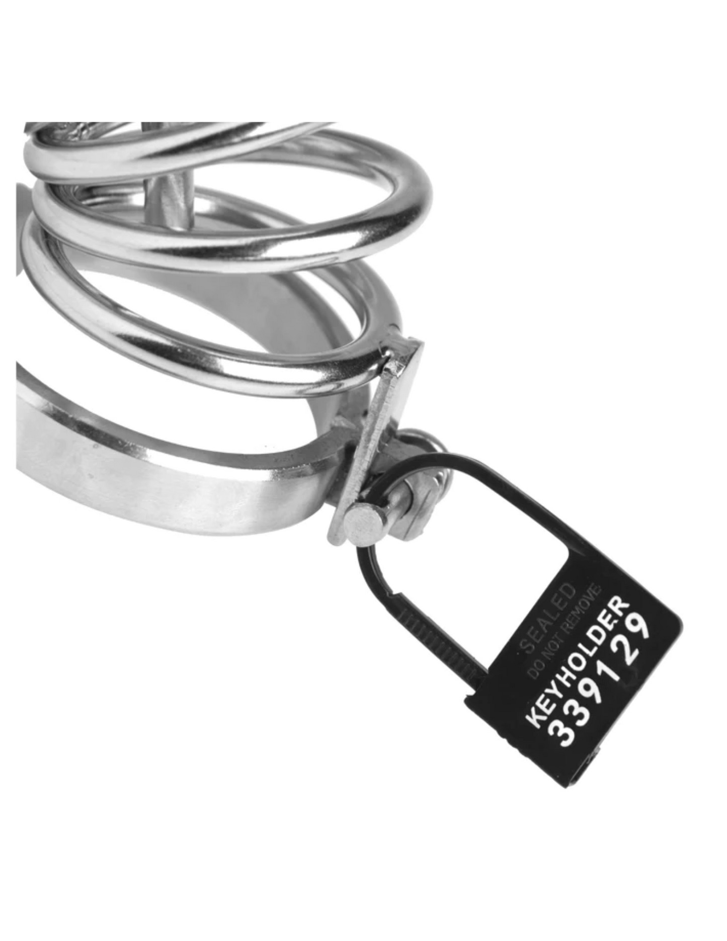 Image of a plastic lock being used on a metal chastity cage.