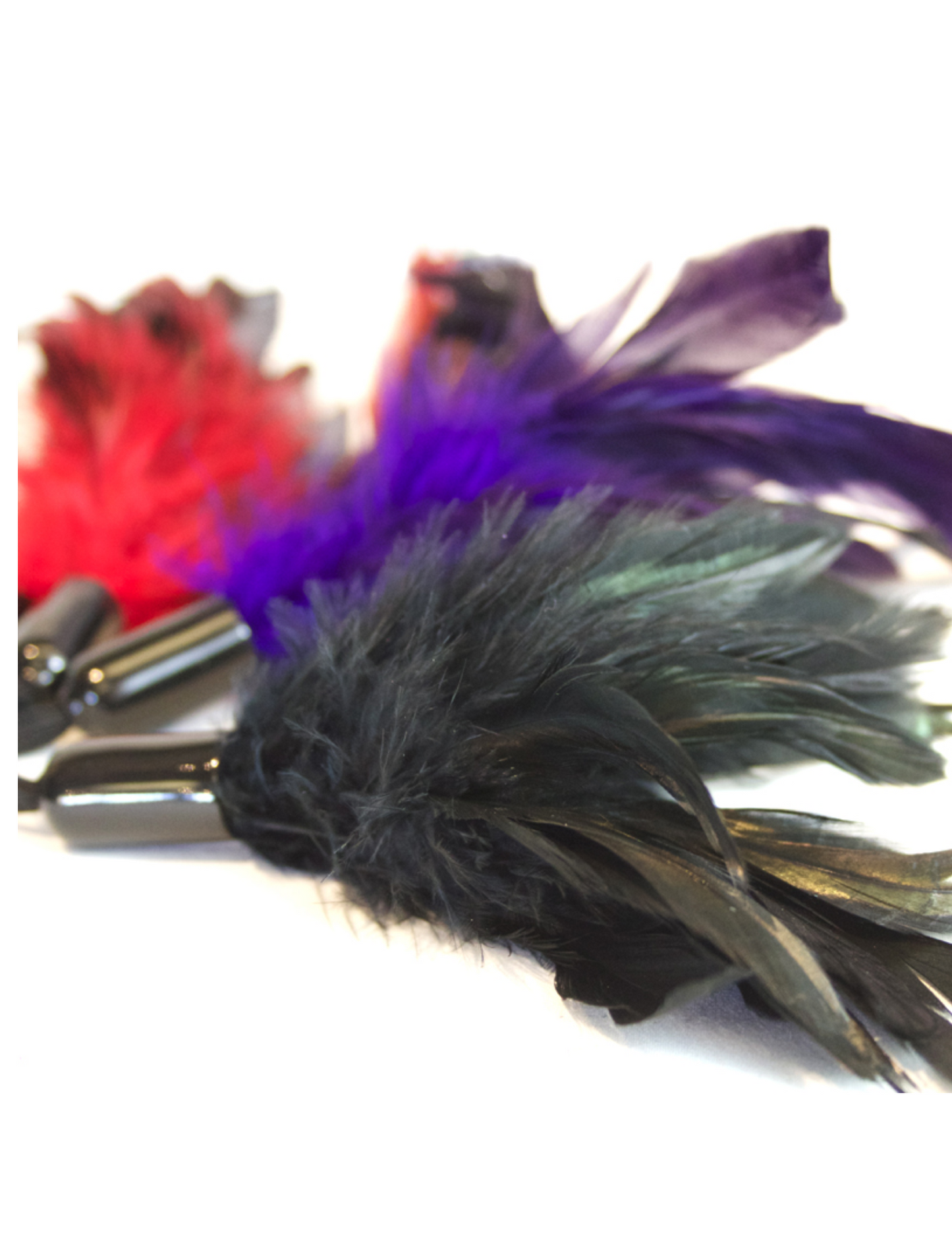 Photo of the Sportsheets Pleasure Feather color options.