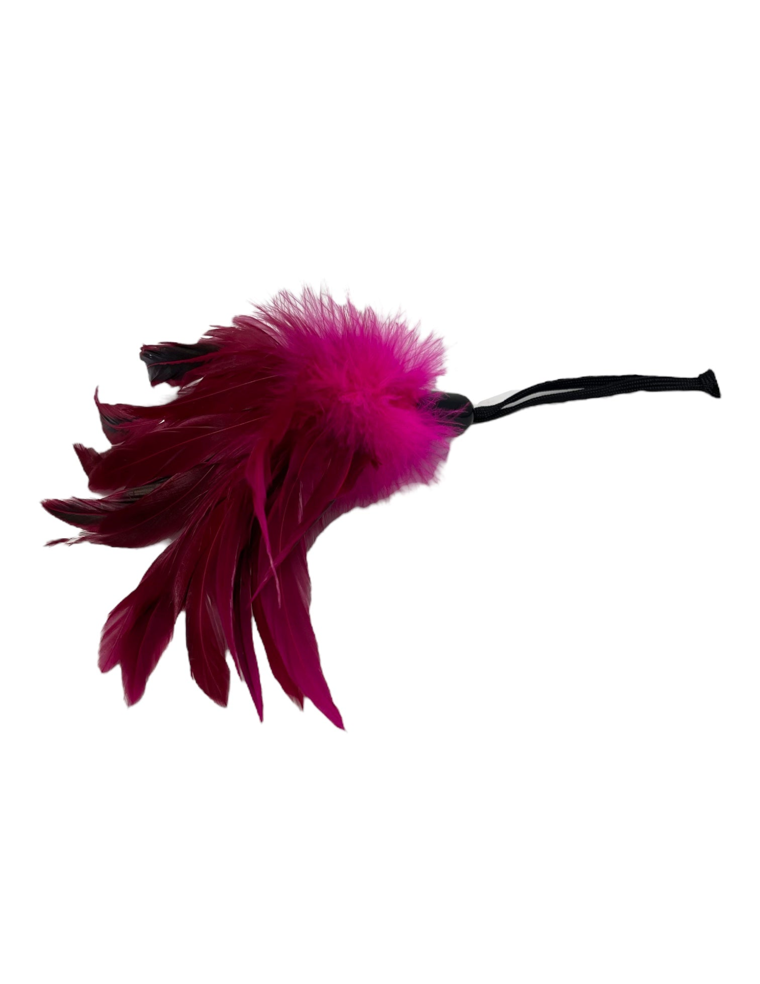 Photo of one of the Pleasure Feathers (rose).