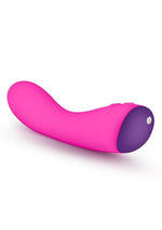 Load image into Gallery viewer, Aria Magnify Silicone Vibrator

