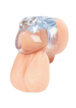 Load image into Gallery viewer, Blueline Small Dick Acrylic Mini Chastity Cage - Clear

