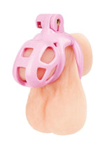 Load image into Gallery viewer, Blueline Small Humiliation Acrylic Prisoner Cock Cage - Pink
