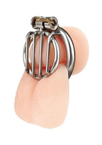 Load image into Gallery viewer, Blueline Stainless Steel Inverted Micro Jail Time Chastity Cage - Silver
