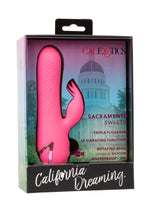 Load image into Gallery viewer, California Dreaming Sacramento Sweetie Rechargeable Silicone Dual Vibrator - Pink
