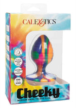 Load image into Gallery viewer, Cheeky Swirl Tie-Dye Silicone Plug - Multicolor - Medium