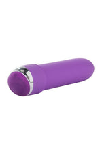 Load image into Gallery viewer, Classic Chic Mini Vibrator