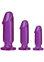 Load image into Gallery viewer, Crystal Jellies Anal Starter - Purple - 3 Piece Kit
