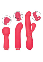 Load image into Gallery viewer, In Touch Passion Trio Rechargeable Silicone Vibrator with 3 Interchangeable Attachments

