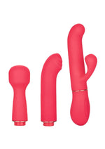 Load image into Gallery viewer, In Touch Passion Trio Rechargeable Silicone Vibrator with 3 Interchangeable Attachments - Pink
