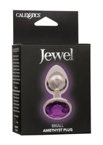 Load image into Gallery viewer, Jewel Amethyst Aluminum Anal Plug - Metal/Purple - Small
