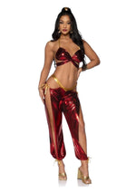 Load image into Gallery viewer, Leg Avenue Ruby Desert Princess Lame Bikini Top and Split Leg Cut-Out Harem Pants with Side Ties