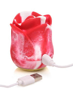 Load image into Gallery viewer, Lickgasm Sweet Kiss Kissing and Vibrating Rechargeable Silicone Clitoral Stimulator - Red/White Swirl