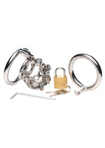 Load image into Gallery viewer, Master Series Bolted Chastity Cage with Spikes - Metal/Silver
