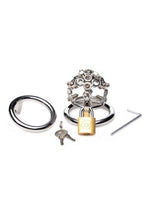 Load image into Gallery viewer, Master Series Bolted Chastity Cage with Spikes - Metal/Silver

