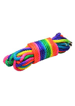Load image into Gallery viewer, Master Series Bondage Rope - Multicolor/Rainbow - 32ft