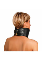 Load image into Gallery viewer, Master Series Hard Stance Padded Lock Posture Collar
