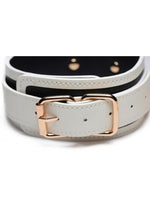 Load image into Gallery viewer, Master Series Kink In The Dark Glowing Collar and Leash
