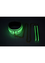 Load image into Gallery viewer, Master Series Kink In The Dark Glowing Collar and Leash

