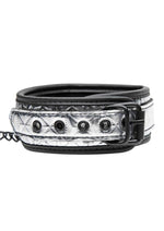 Load image into Gallery viewer, Master Series - Platinum Bound Chained Collar and Leash
