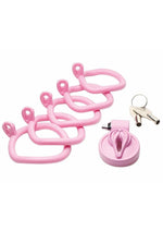 Load image into Gallery viewer, Master Series Pussification Vulva Chastity Cage