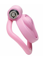 Load image into Gallery viewer, Master Series Pussification Vulva Chastity Cage